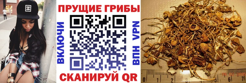 ссылка на мегу как войти Вышний Волочёк Галлюциногенные грибы ЛСД